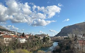 Apartment Collina